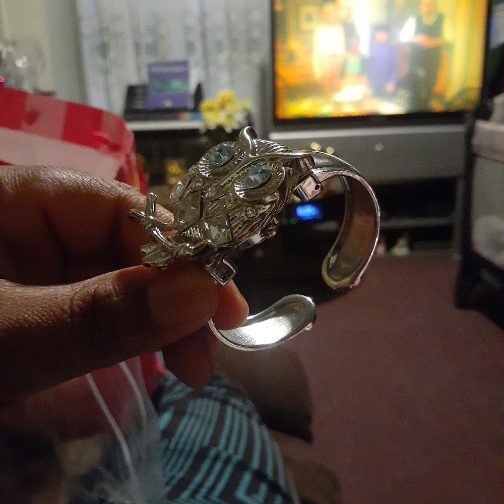 owel watch